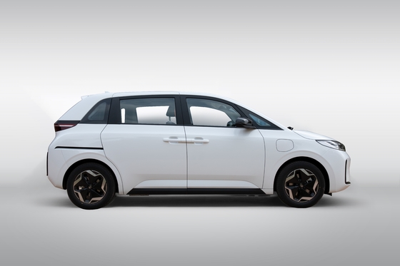 BYD D1 ホットセール 418キロ, 最高コストパフォーマンス 電気自動車 中国製 高性能新エネルギー車