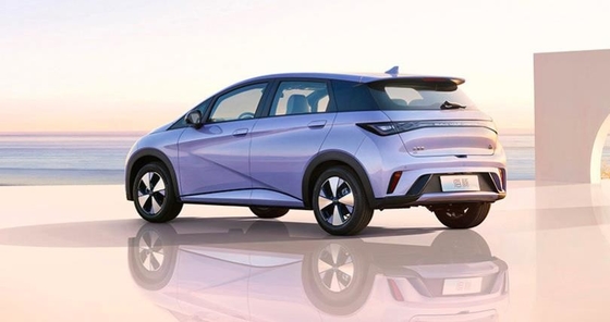 BYD 純電動 Range 401KM コンパクト 人気ホームカー デルフィン