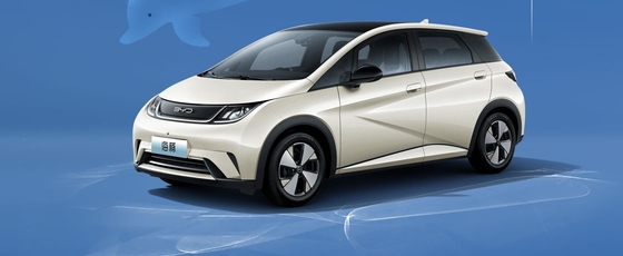 BYD 純電動 Range 401KM コンパクト 人気ホームカー デルフィン