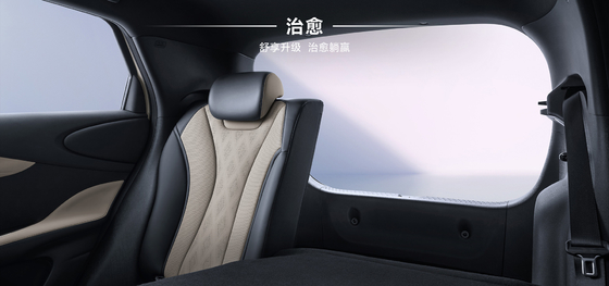 BYD 2025 420km ドルフィン アクティブ エディション EV