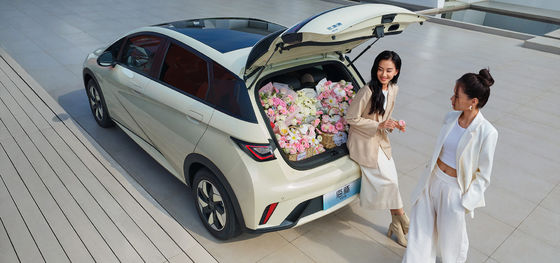 1.5L 排気量 BYD Seal06 DM-i 120KM 率先版