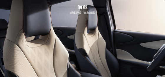 BYD 2025 ドルフィン 520km ナイト エディション EV