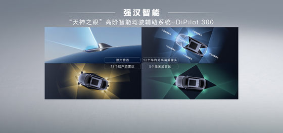 BYD 秦PLUS DM-i 102km 领先型 栄耀版 最大出力132kw