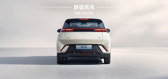 2025 BYDハイオ 305KM