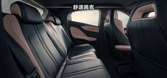 2025 BYDハイオ 305KM