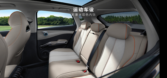 BYD ユアン PLUS 510KM ナビゲーション オーナー エディション