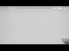 2025 420km ドルフィン アクティブ エディション EV